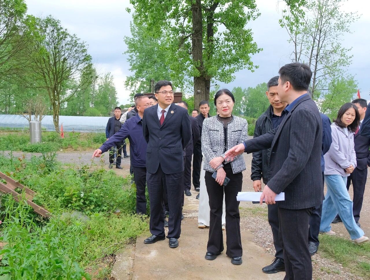 微信图片_2026-05-11_153840_410.jpg